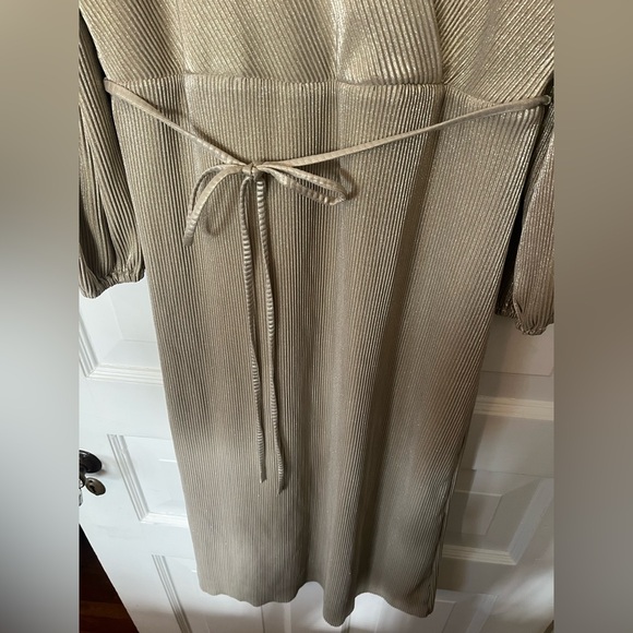 Ann Taylor Shimmer Pleated Wrap Dress NWT - Picture 5 of 6